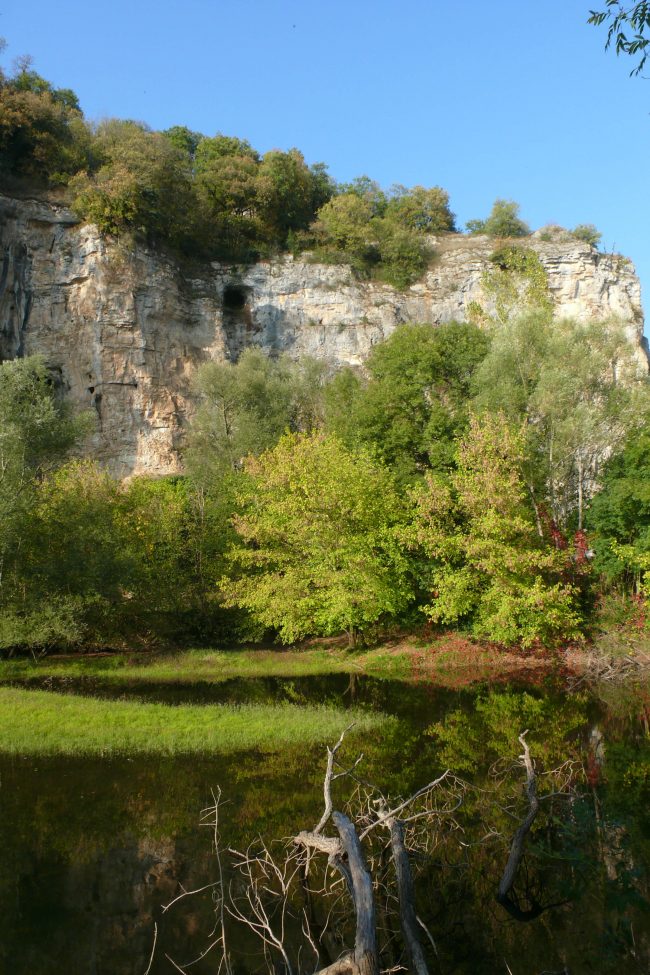 Couasne v site internet