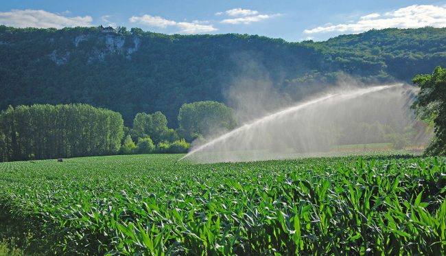 mais irrigue 1 (cb) version site