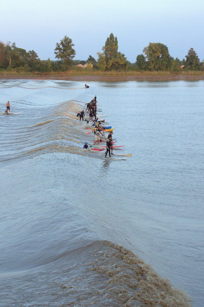 mascaret (fe) version net