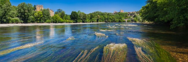 15011-france-Dordogne-Herbiers-a-renoncules-sur-la-Dordogne-a-Vezac-avec-les-chateaux-de-Fayrac-et-de-Beynac-sur-les-coteaux-panorama-sentucq.h