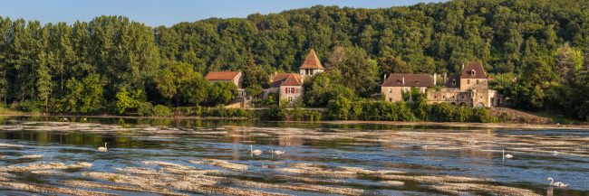 14972-france-Dordogne-Renoncules-d-eau-face-a-Pontours-pres-des-iles-aux-cygnes-panorama-sentucq.h
