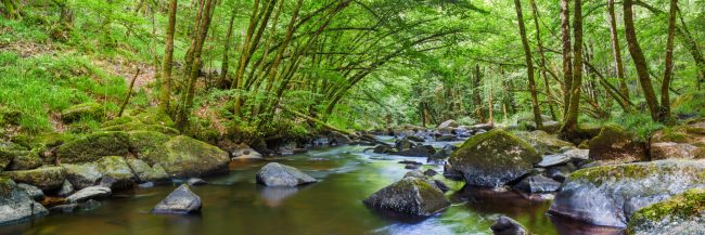 15045-france-Dordogne-La-Dronne-au-Saut-du-Chalard-Champs-Romain-panorama-sentucq.h