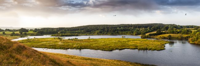 15061-france-Puy-de-Dome-Lac-de-tourbiere-de-l-Esclauze-Artense-panorama-sentucq.h