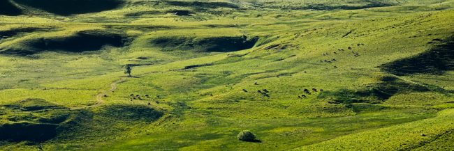 7908-france-Cantal-Montagne-de-Courbieres-Pradiers-Cezallier-panorama-sentucq.h