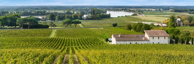 15121-france-Gironde-La-Dordogne-bordee-par-les-vignobles-de-Fronsac-libournais-panorama-sentucq.h