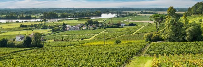 15122-france-Gironde-La-Dordogne-bordee-par-les-vignobles-de-Fronsac-libournais-panorama-sentucq.h