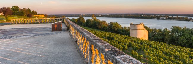 15132-france-Gironde-Panorama-du-Bec-d-Ambes-Eyquem-estuaire-de-la-Dordogne-panorama-sentucq.h