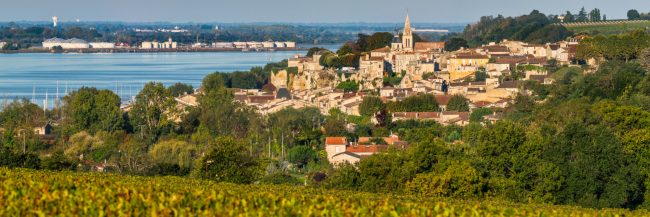 15143-france-Gironde-Coteaux-de-Bourg-et-Bec-d-Ambes-estuaire-de-la-Dordogne-panorama-sentucq.h