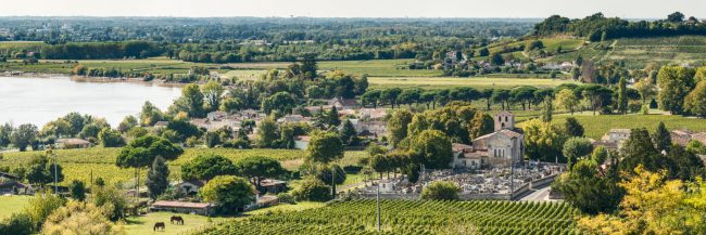 15152-france-Gironde-La-Dordogne-vue-du-tertre-de-Fronsac-panorama-sentucq.h