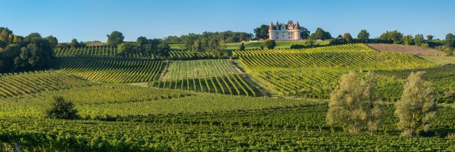 15174-france-Dordogne-Chateau-et-vignes-de-Monbazillac-panorama-sentucq.h