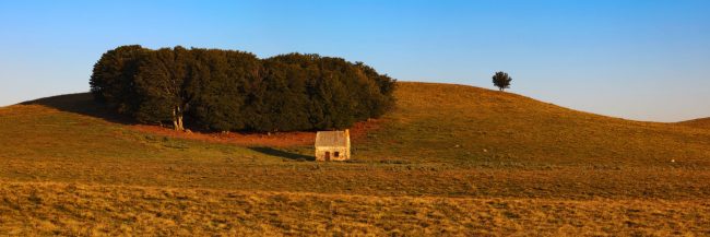 11611-france-Puy-de-Dome-Buron-La-Vazeze-Cezallier-panorama-sentucq.h