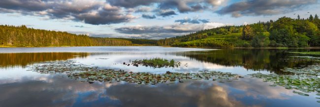15094-france-Correze-Etang-des-Oussines-plateau-de-Millevaches-panorama-sentucq.h